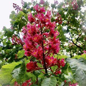 체중계 추천 리뷰 후기 건강 체크의 첫 단계 올바른 선택