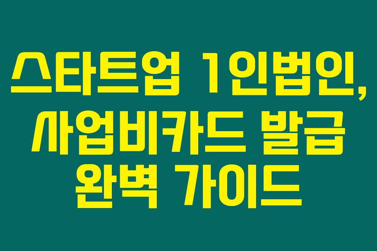 스타트업 1인법인, 사업비카드 발급 완벽 가이드