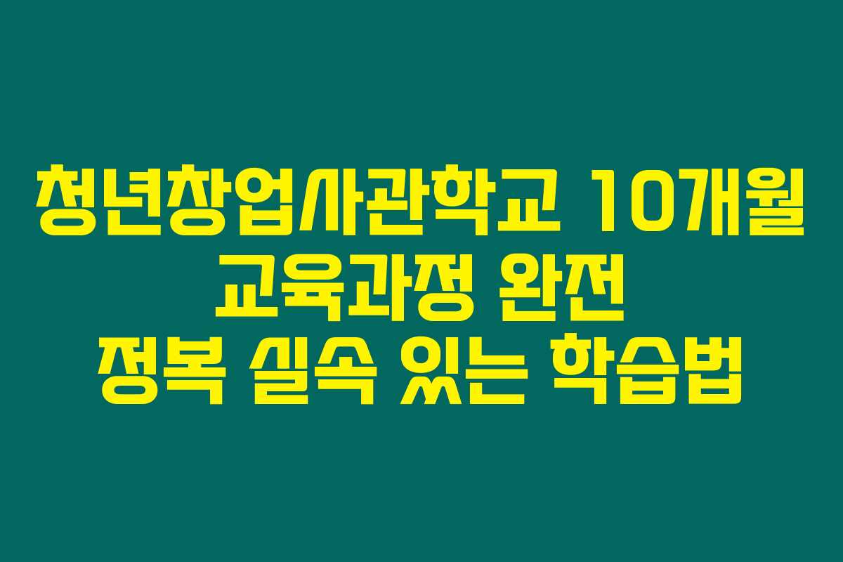 청년창업사관학교 10개월 교육과정 완전 정복 실속 있는 학습법 청년창업사관학교 10개월 교육과정 완전 정복 실속 있는 학습법