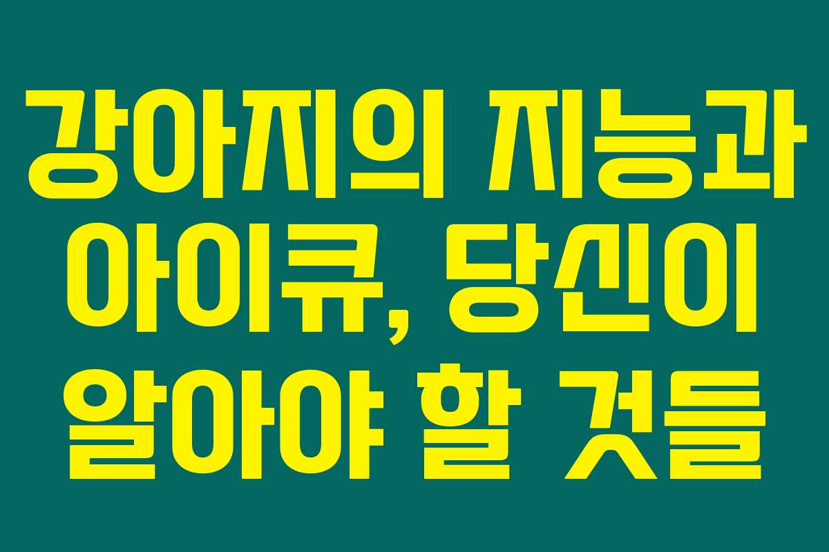 강아지의 지능과 아이큐, 당신이 알아야 할 것들 강아지의 지능과 아이큐, 당신이 알아야 할 것들