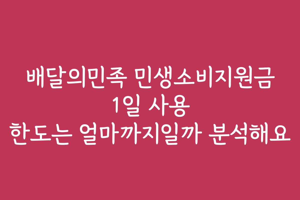 배달의민족 민생소비지원금 1일 사용 한도는 얼마까지일까 분석해요
