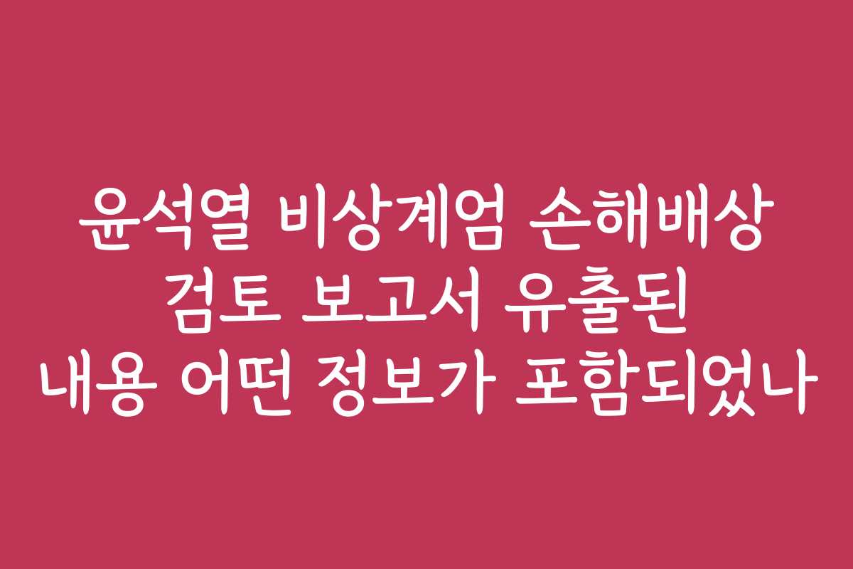 윤석열 비상계엄 손해배상 검토 보고서 유출된 내용 어떤 정보가 포함되었나