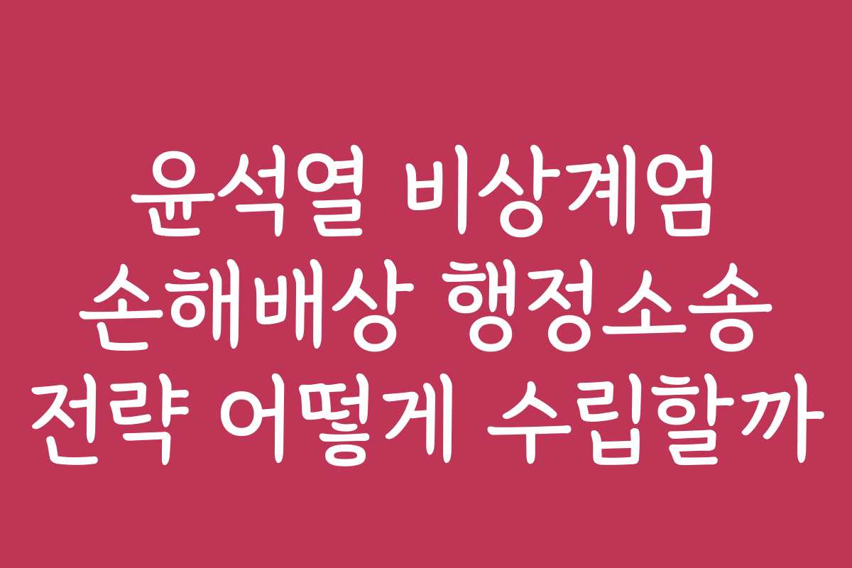 윤석열 비상계엄 손해배상 행정소송 전략 어떻게 수립할까