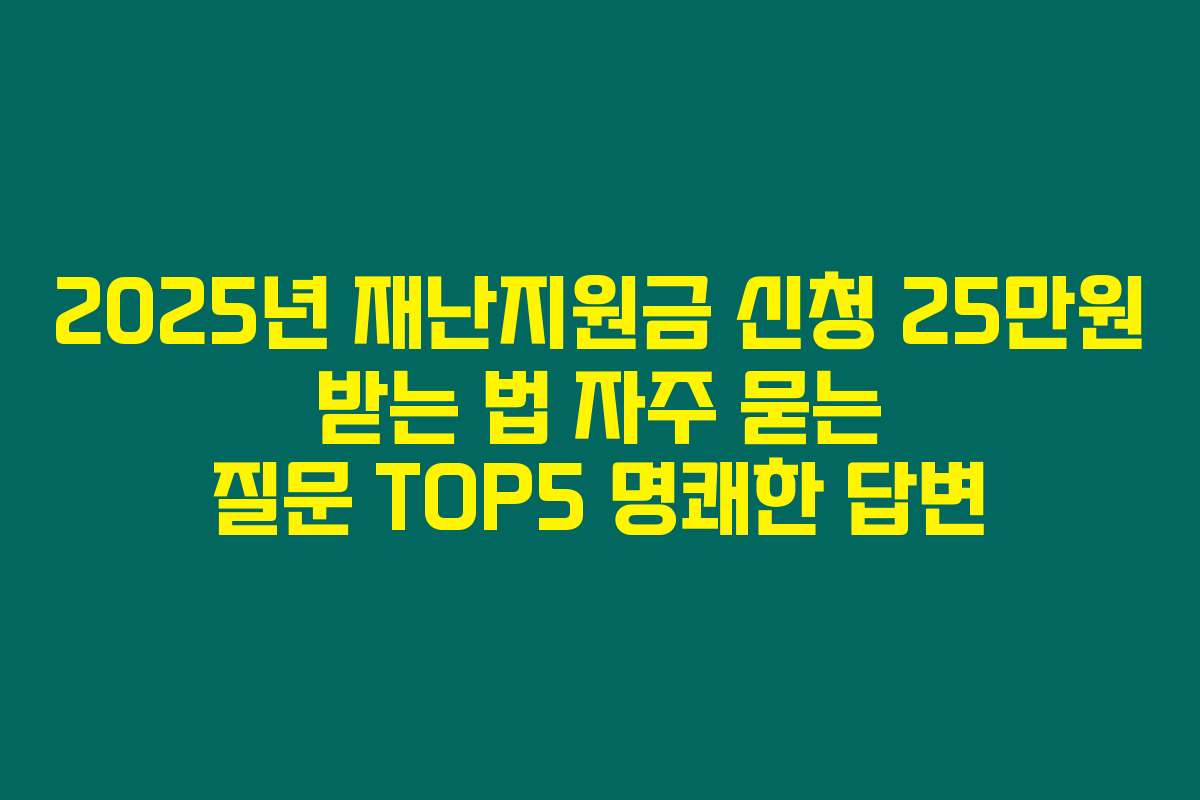 2025년 재난지원금 신청 25만원 받는 법 자주 묻는 질문 TOP5 명쾌한 답변