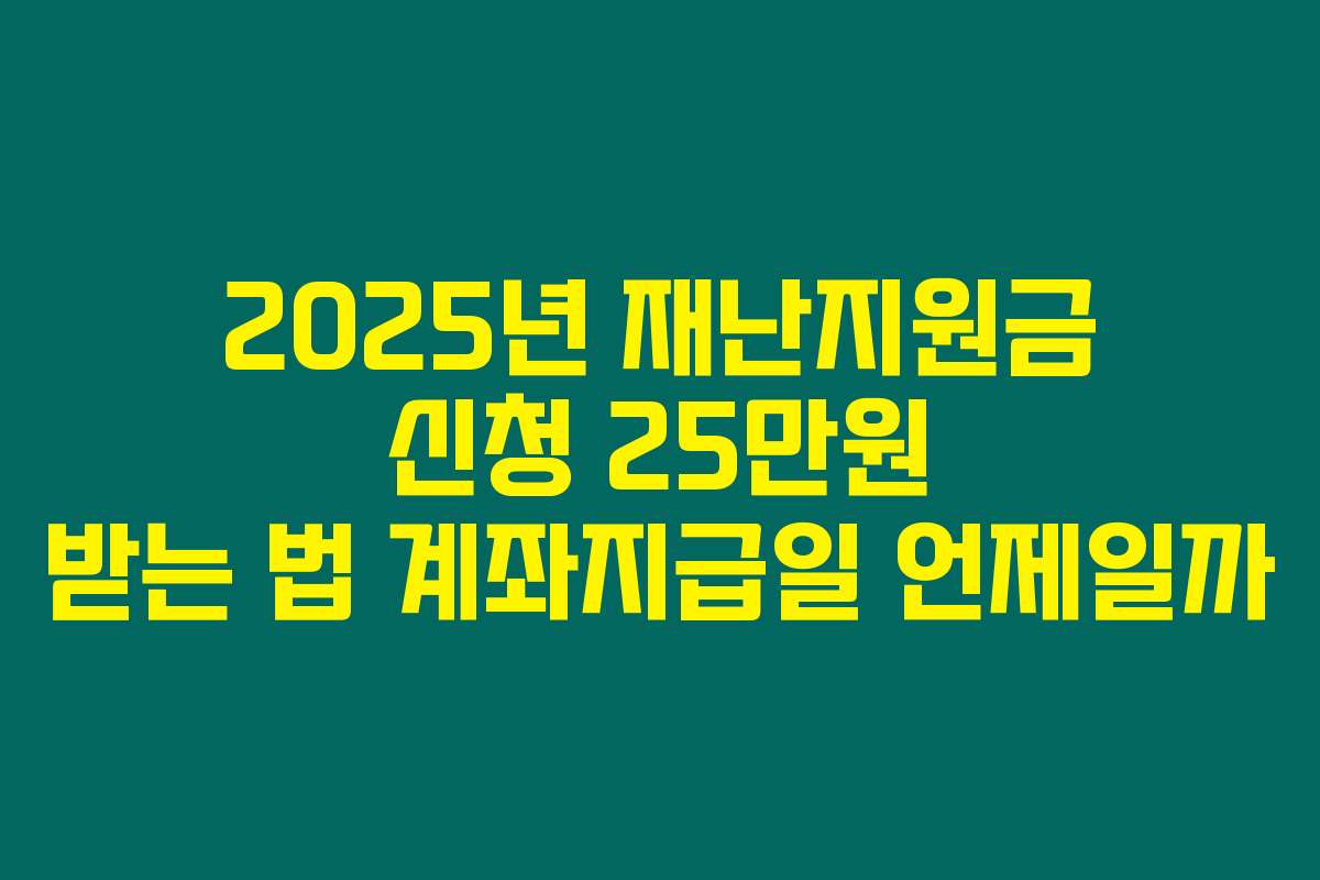 2025년 재난지원금 신청 25만원 받는 법 계좌지급일 언제일까 2025년 재난지원금 신청 25만원 받는 법 계좌지급일 언제일까