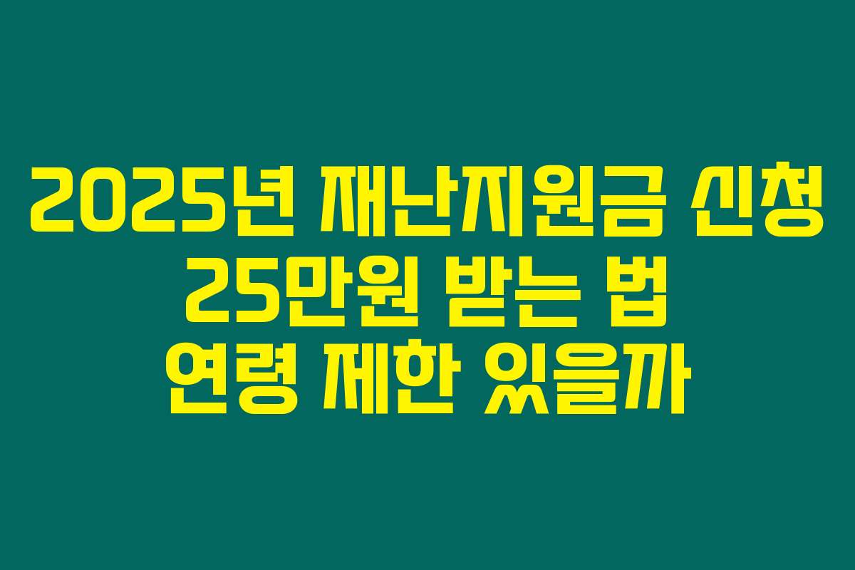 2025년 재난지원금 신청 25만원 받는 법 연령 제한 있을까 2025년 재난지원금 신청 25만원 받는 법 연령 제한 있을까