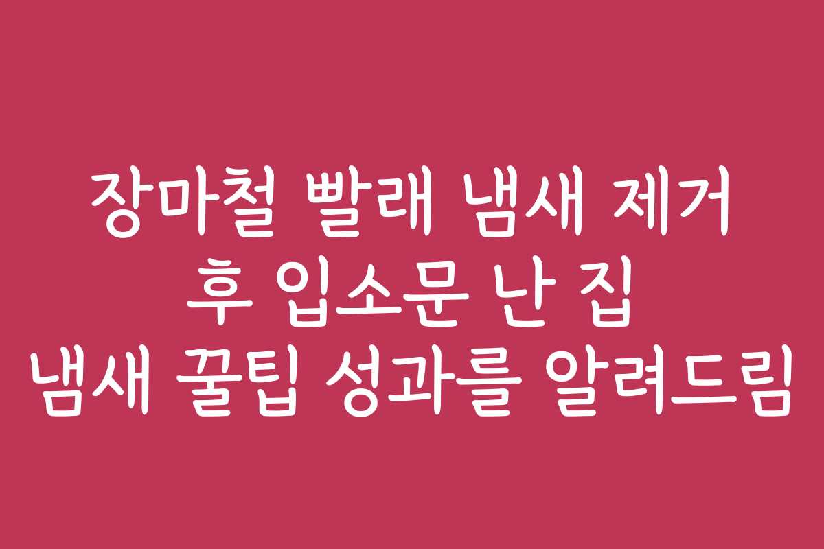 장마철 빨래 냄새 제거 후 입소문 난 집 냄새 꿀팁 성과를 알려드림 장마철 빨래 냄새 제거 후 입소문 난 집 냄새 꿀팁 성과를 알려드림