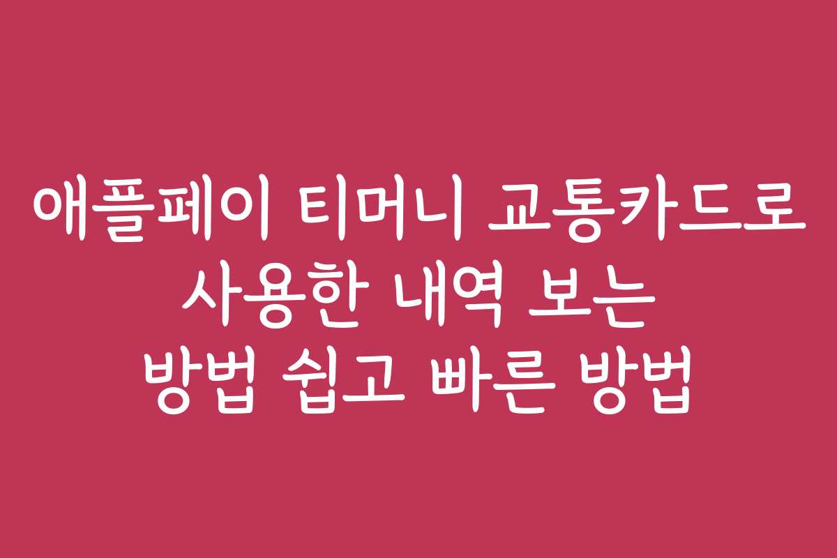 애플페이 티머니 교통카드로 사용한 내역 보는 방법 쉽고 빠른 방법