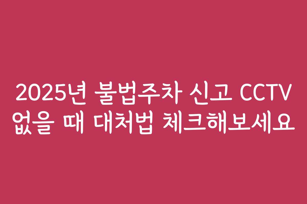 2025년 불법주차 신고 CCTV 없을 때 대처법 체크해보세요 2025년 불법주차 신고 CCTV 없을 때 대처법 체크해보세요