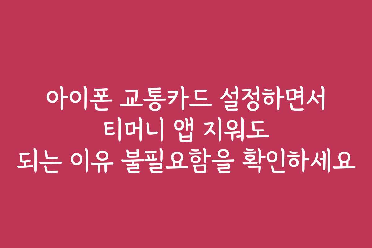 아이폰 교통카드 설정하면서 티머니 앱 지워도 되는 이유 불필요함을 확인하세요