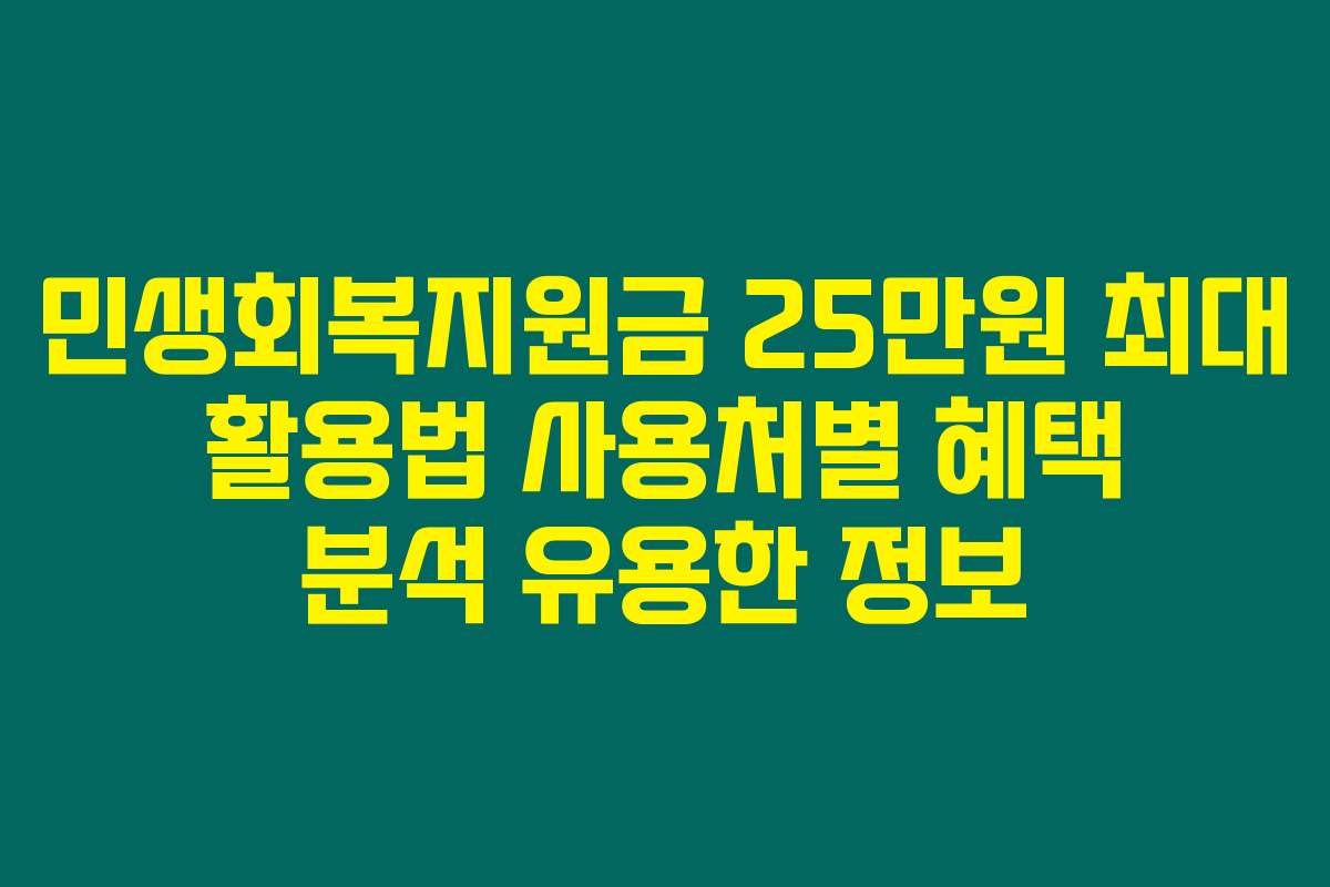 민생회복지원금 25만원 최대 활용법 사용처별 혜택 분석 유용한 정보 민생회복지원금 25만원 최대 활용법 사용처별 혜택 분석 유용한 정보