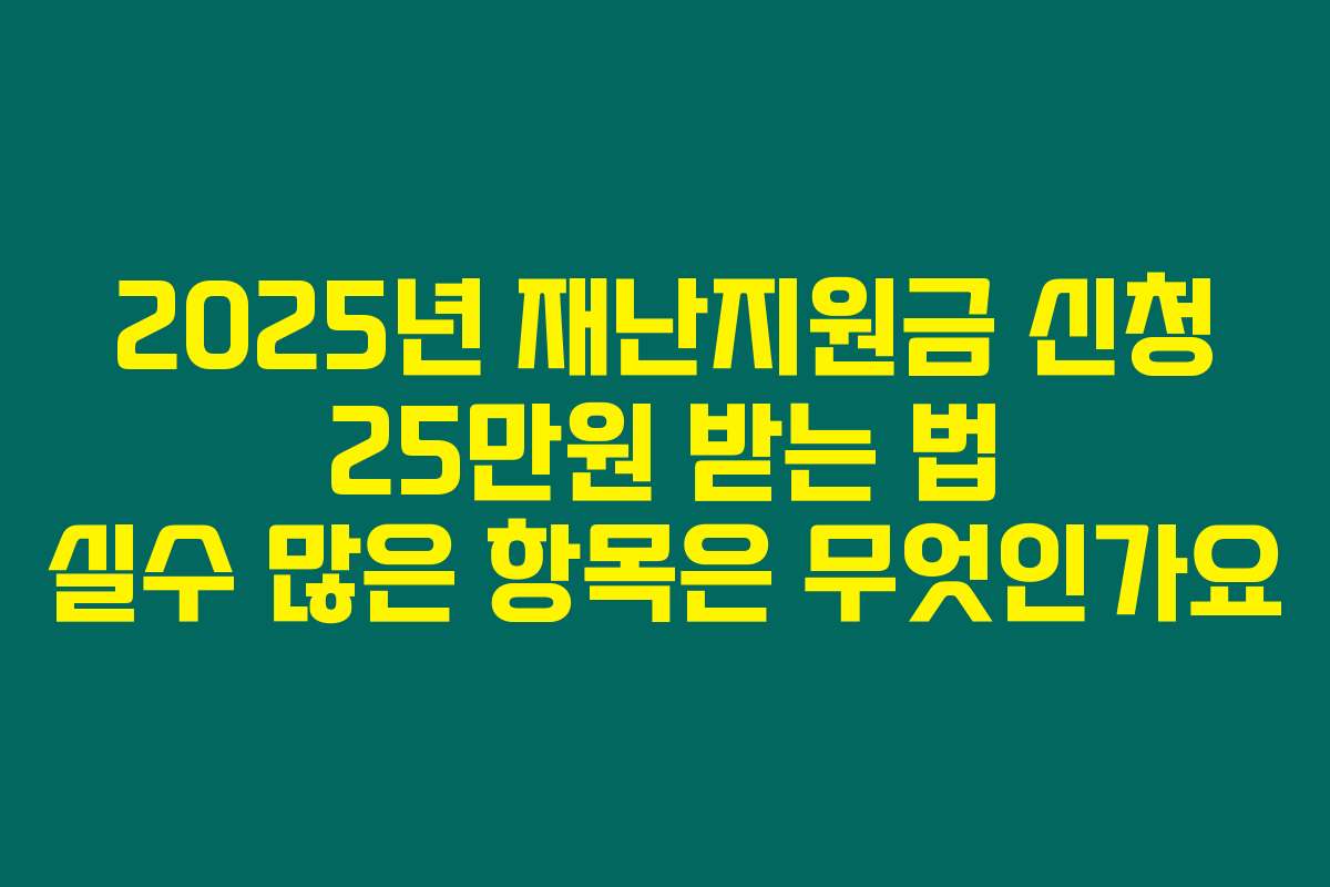 2025년 재난지원금 신청 25만원 받는 법 실수 많은 항목은 무엇인가요 2025년 재난지원금 신청 25만원 받는 법 실수 많은 항목은 무엇인가요
