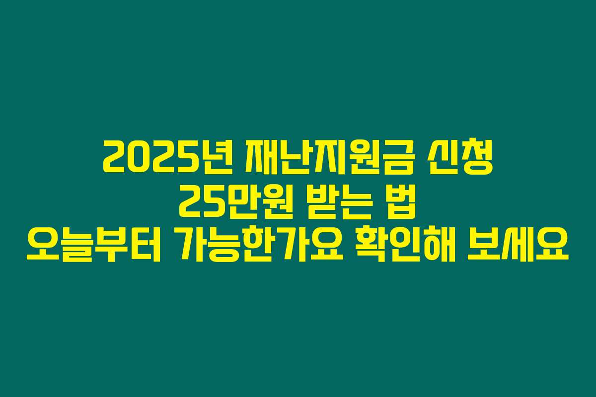 2025년 재난지원금 신청 25만원 받는 법 오늘부터 가능한가요 확인해 보세요