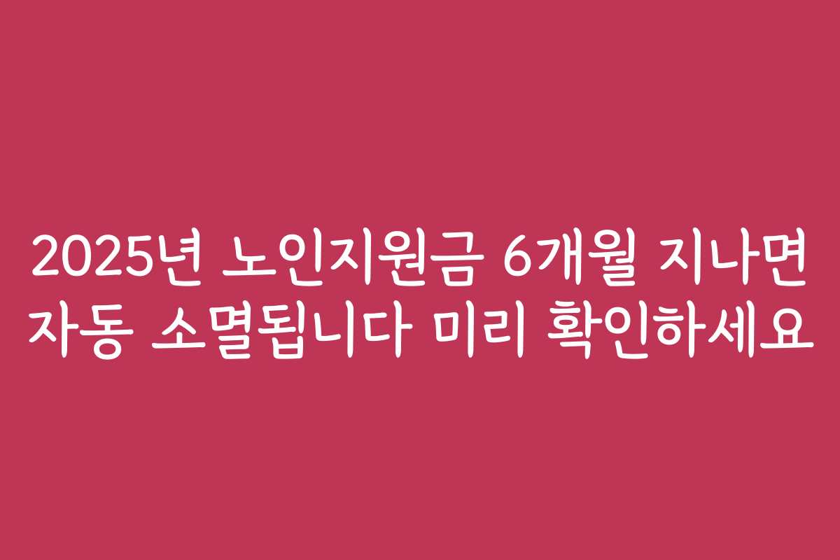 2025년 노인지원금 6개월 지나면 자동 소멸됩니다 미리 확인하세요