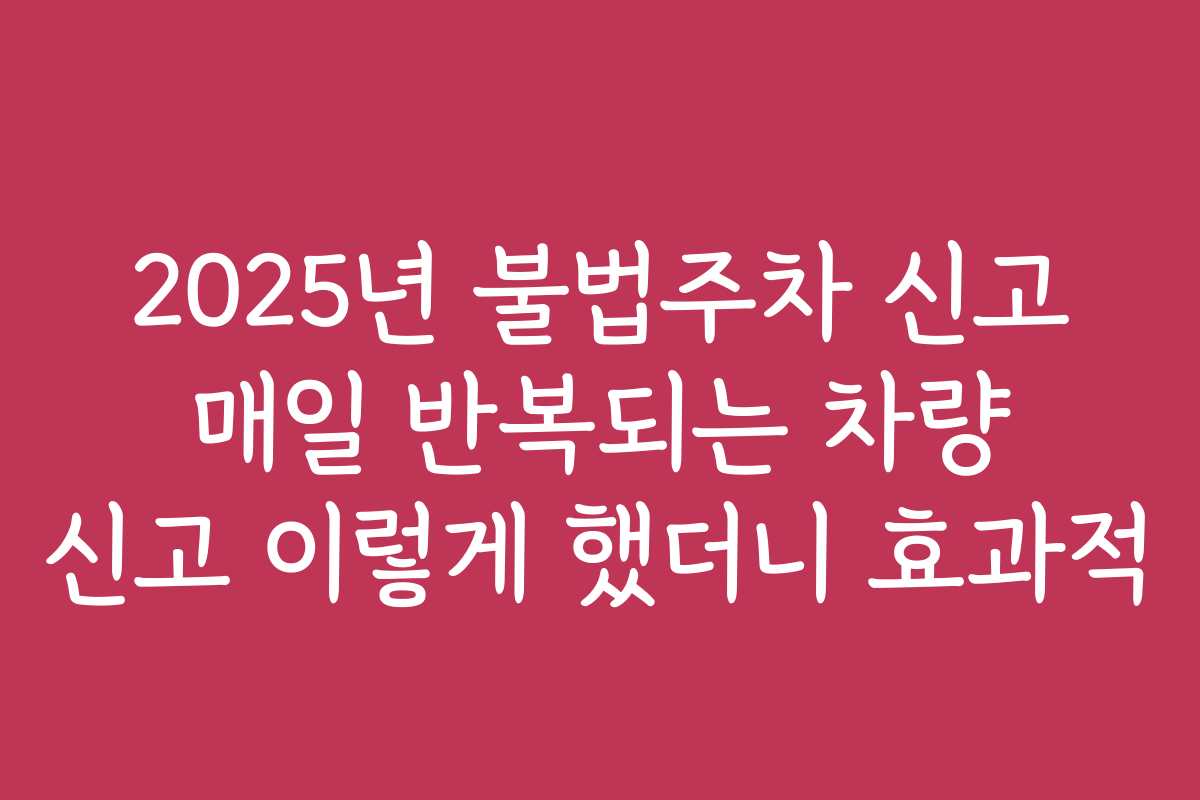 2025년 불법주차 신고 매일 반복되는 차량 신고 이렇게 했더니 효과적
