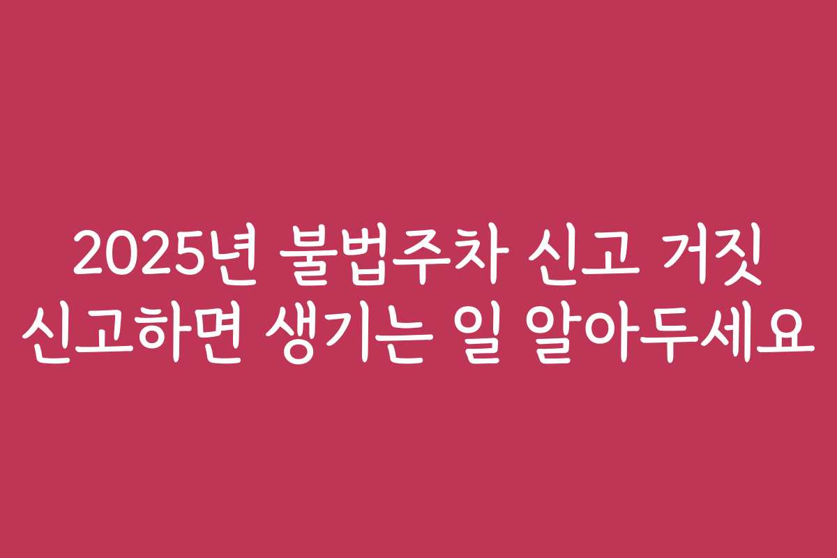 2025년 불법주차 신고 거짓 신고하면 생기는 일 알아두세요