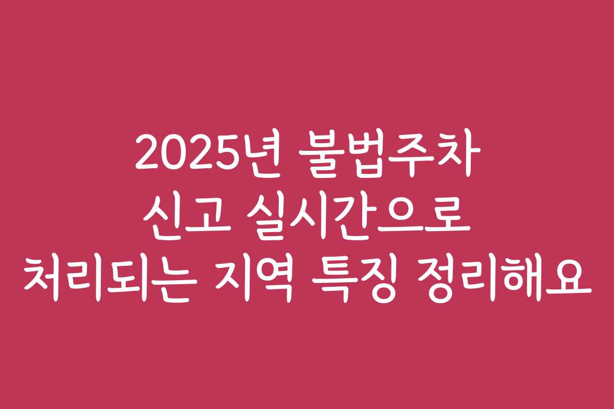 2025년 불법주차 신고 실시간으로 처리되는 지역 특징 정리해요