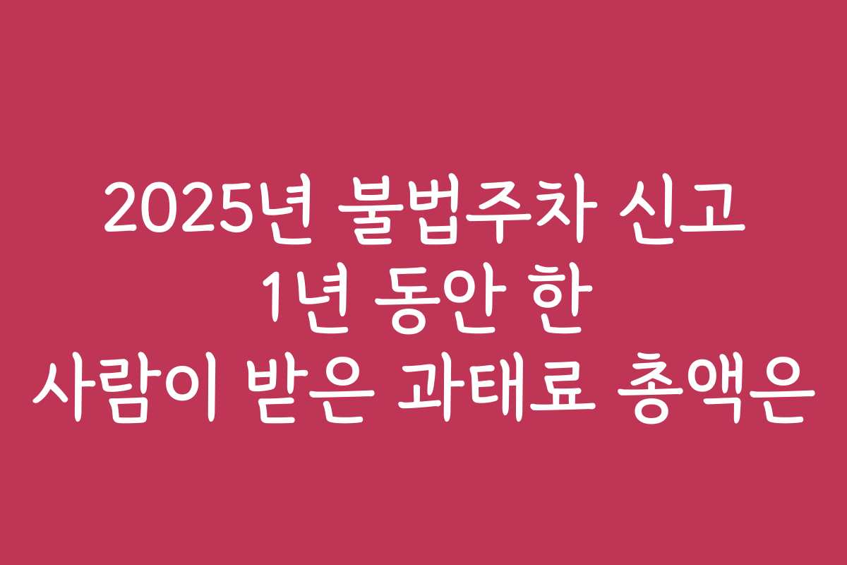 2025년 불법주차 신고 1년 동안 한 사람이 받은 과태료 총액은