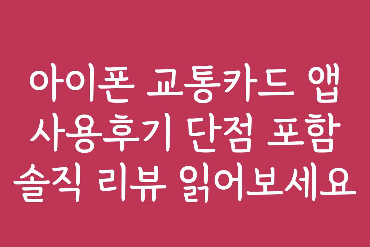 아이폰 교통카드 앱 사용후기 단점 포함 솔직 리뷰 읽어보세요