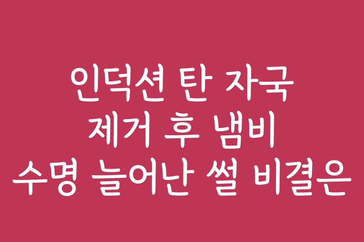 인덕션 탄 자국 제거 후 냄비 수명 늘어난 썰 비결은 인덕션 탄 자국 제거 후 냄비 수명 늘어난 썰 비결은