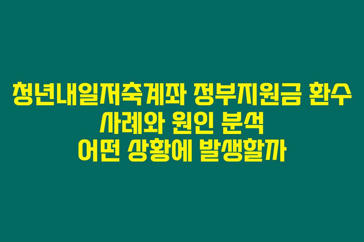 청년내일저축계좌 정부지원금 환수 사례와 원인 분석 어떤 상황에 발생할까