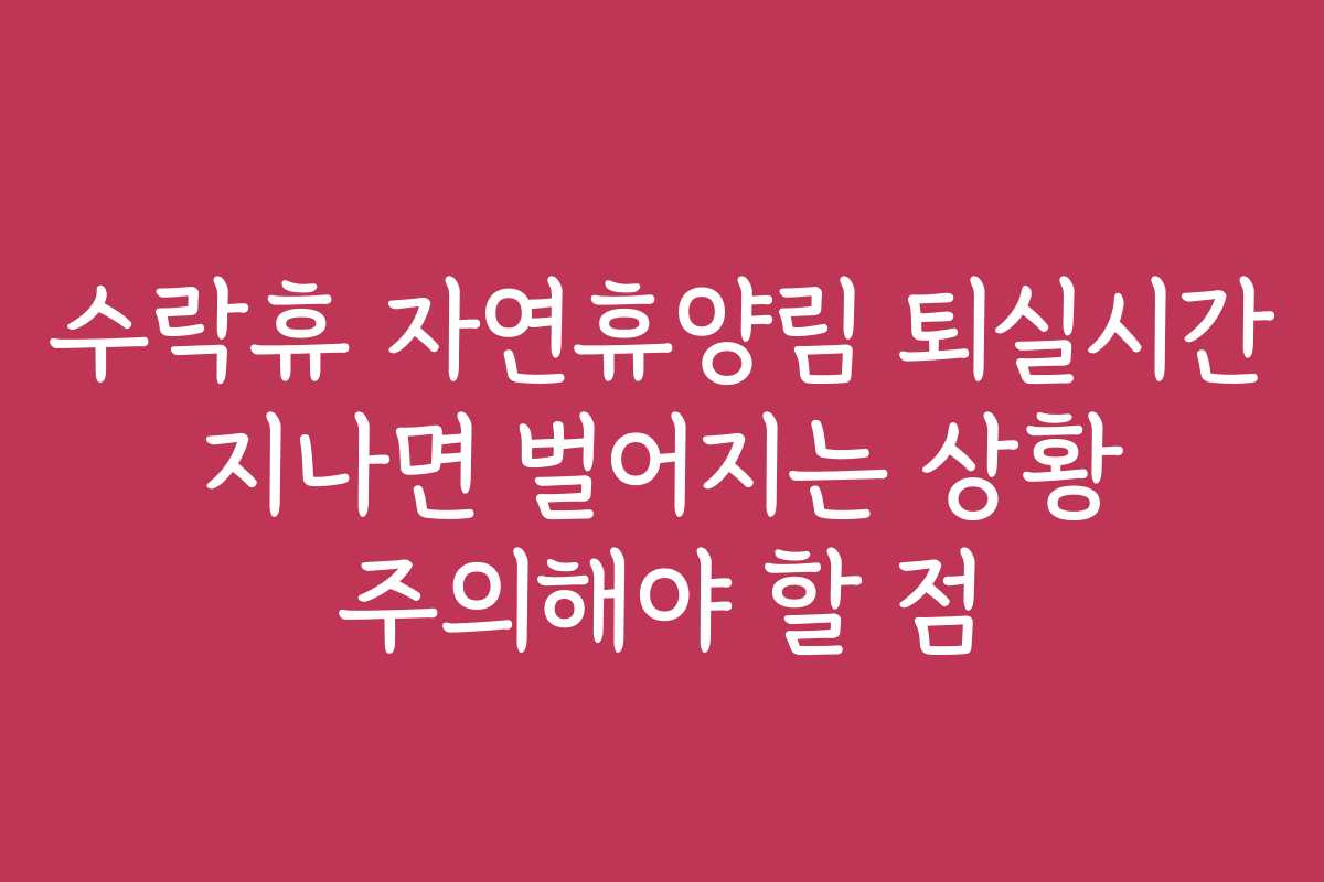 수락휴 자연휴양림 퇴실시간 지나면 벌어지는 상황 주의해야 할 점 수락휴 자연휴양림 퇴실시간 지나면 벌어지는 상황 주의해야 할 점