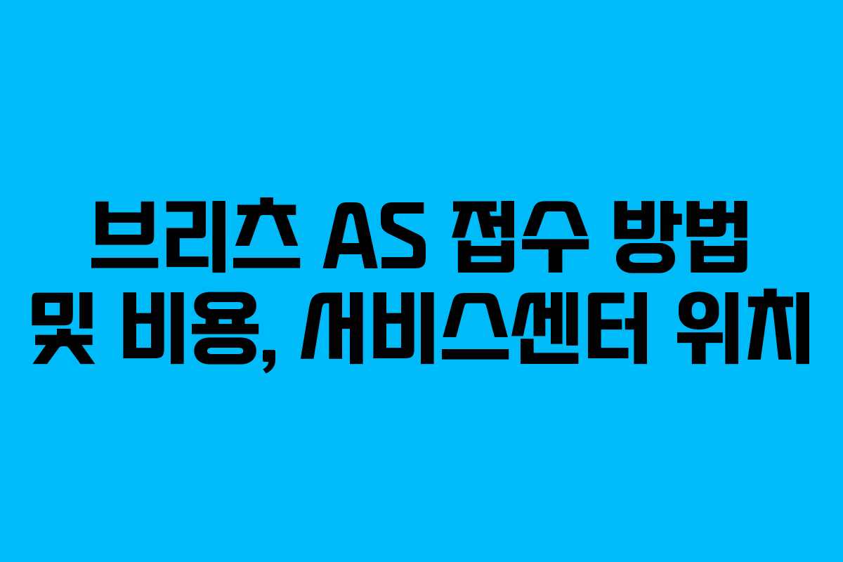 브리츠 AS 접수 방법 및 비용, 서비스센터 위치