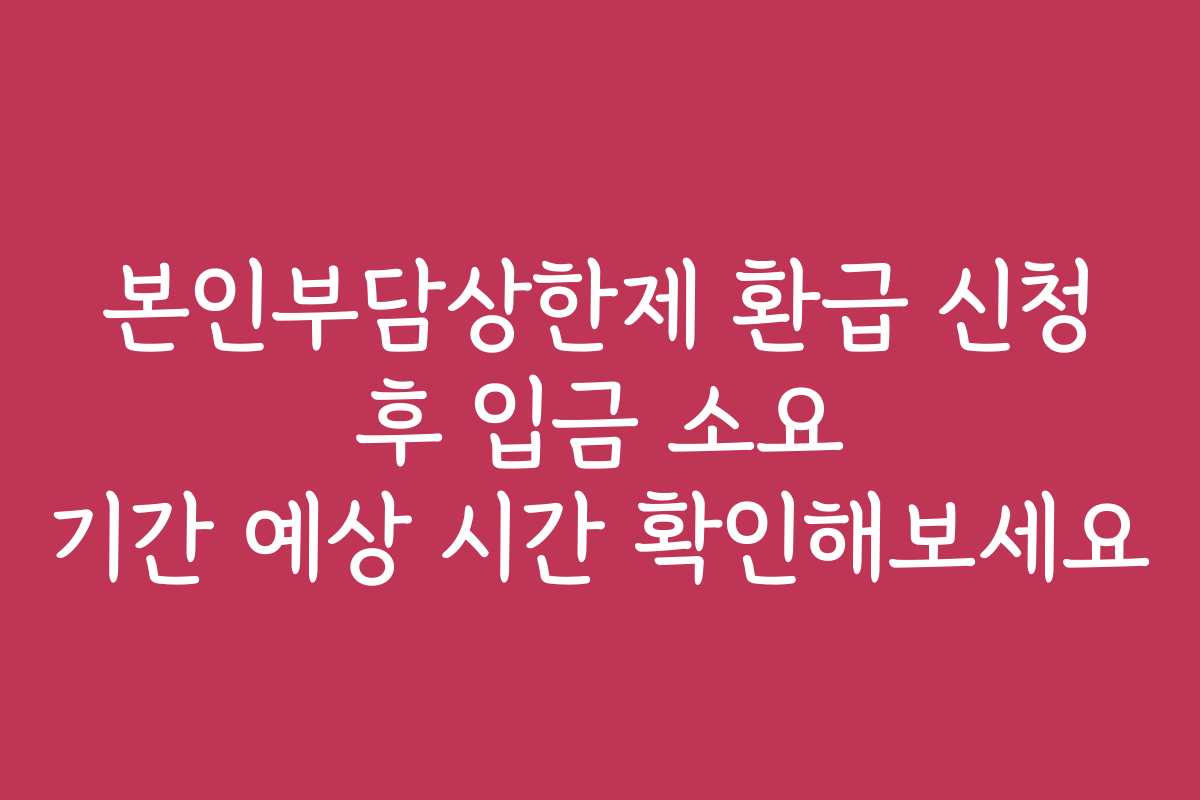 본인부담상한제 환급 신청 후 입금 소요 기간 예상 시간 확인해보세요