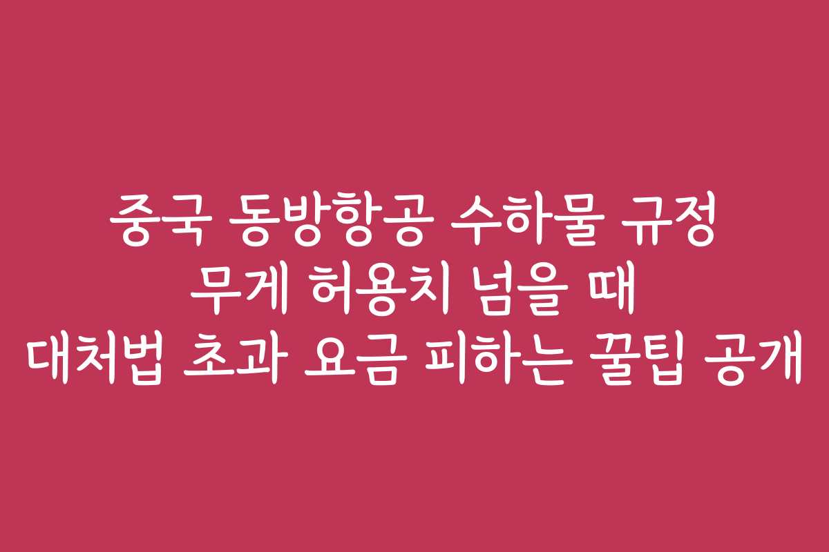 중국 동방항공 수하물 규정 무게 허용치 넘을 때 대처법 초과 요금 피하는 꿀팁 공개
