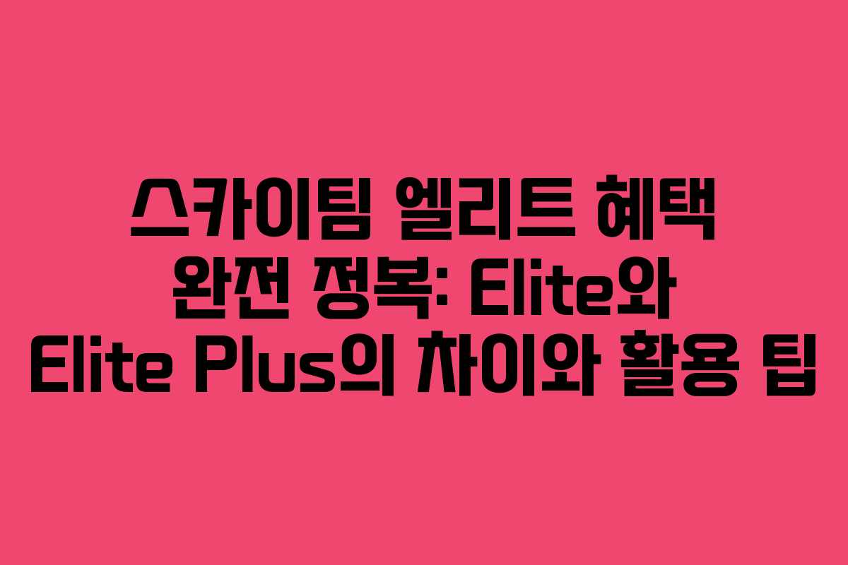 스카이팀 엘리트 혜택 완전 정복: Elite와 Elite Plus의 차이와 활용 팁