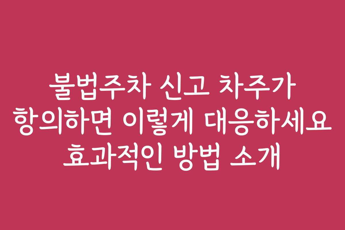불법주차 신고 차주가 항의하면 이렇게 대응하세요 효과적인 방법 소개