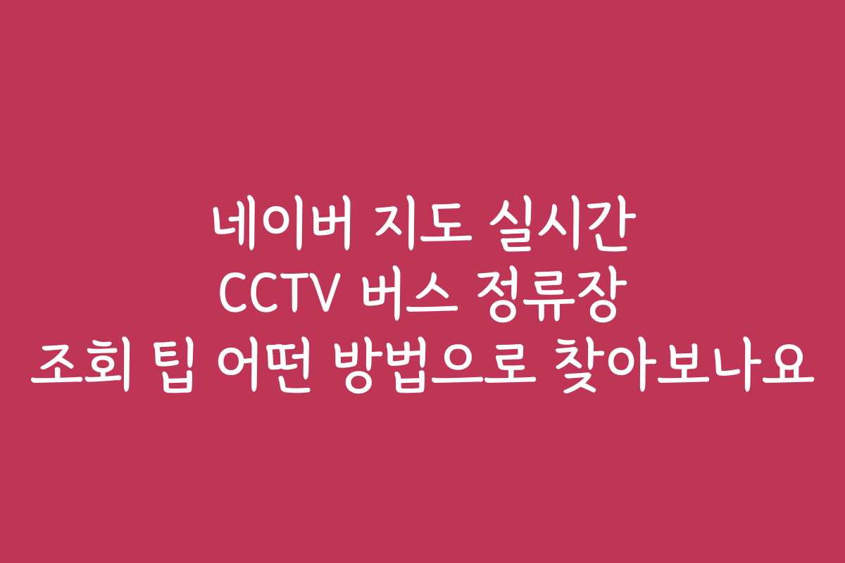 네이버 지도 실시간 CCTV 버스 정류장 조회 팁 어떤 방법으로 찾아보나요