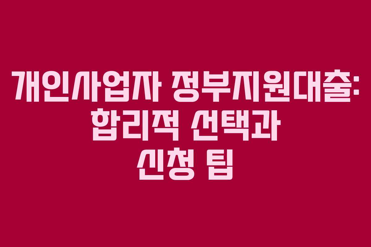 개인사업자 정부지원대출: 합리적 선택과 신청 팁