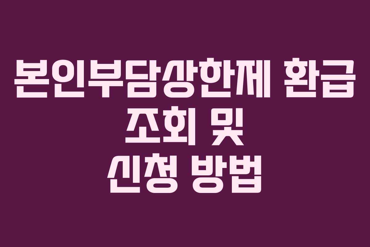 본인부담상한제 환급 조회 및 신청 방법
