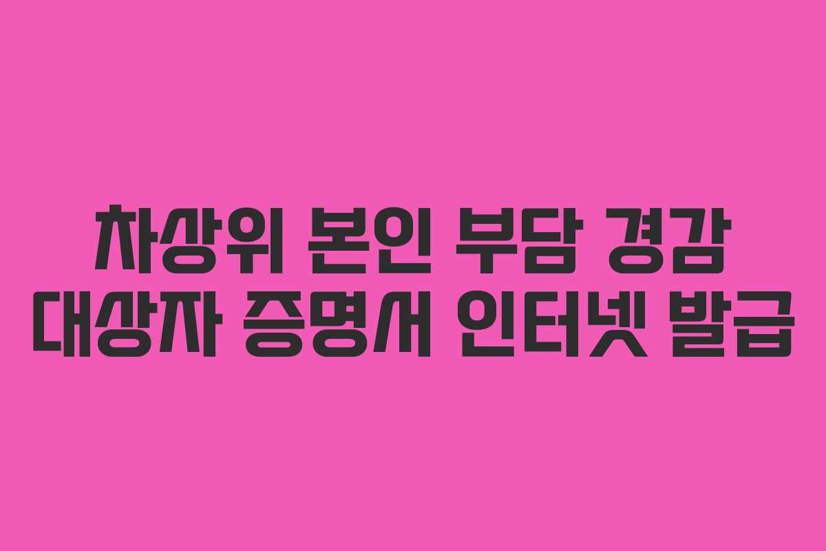 차상위 본인 부담 경감 대상자 증명서 인터넷 발급