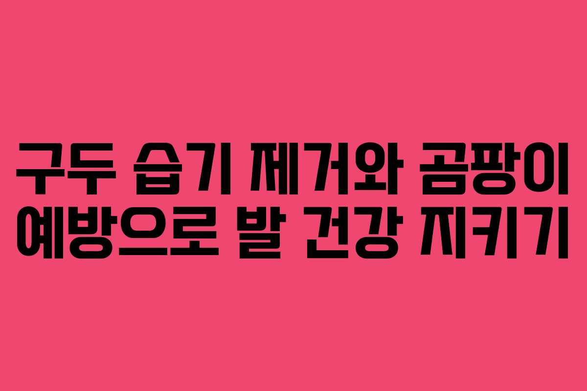 구두 습기 제거와 곰팡이 예방으로 발 건강 지키기