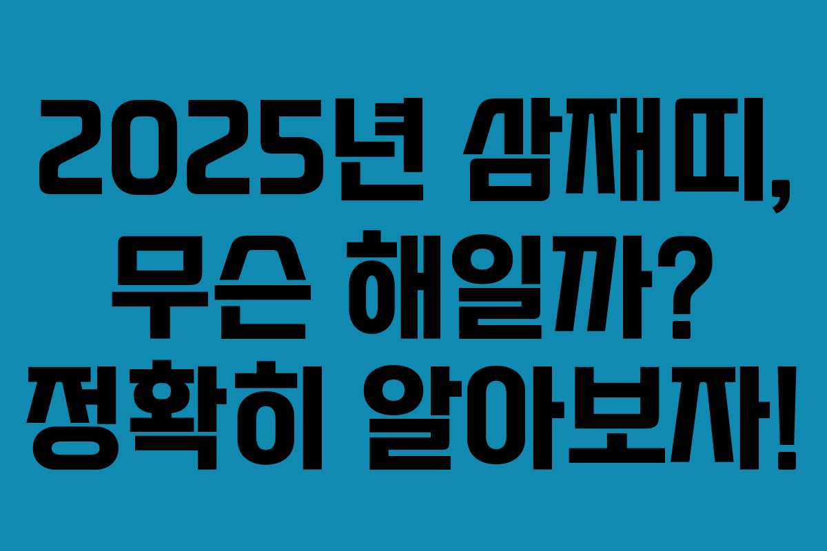 2025년 삼재띠, 무슨 해일까? 정확히 알아보자! 2025년 삼재띠, 무슨 해일까? 정확히 알아보자!