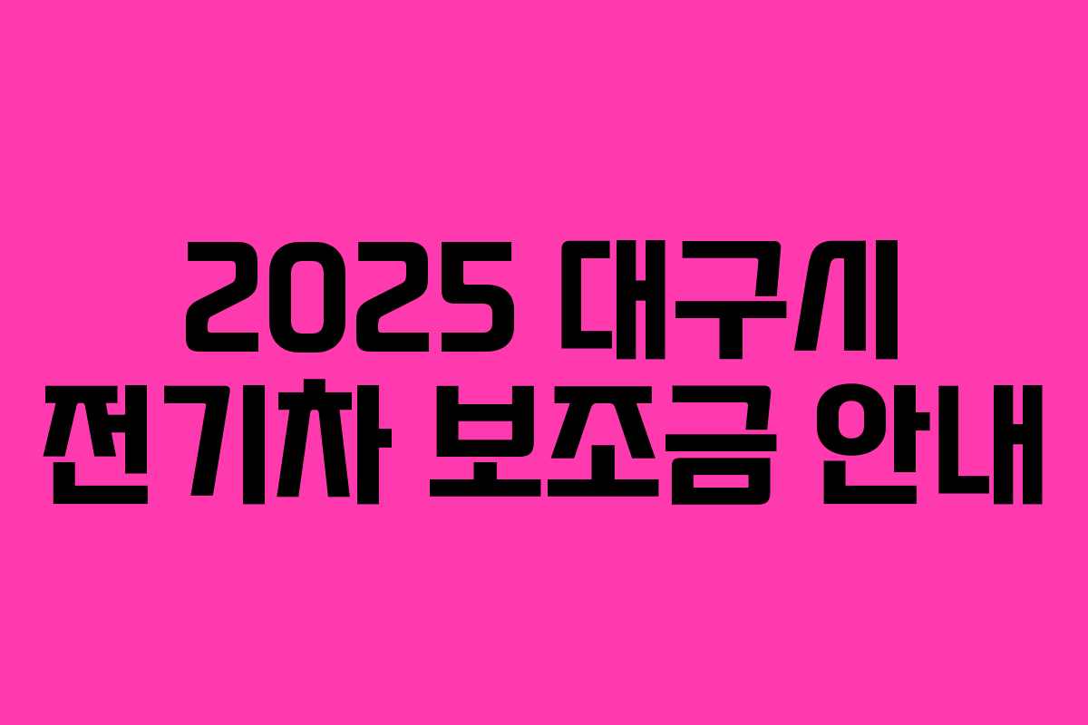 2025 대구시 전기차 보조금 안내 2025 대구시 전기차 보조금 안내