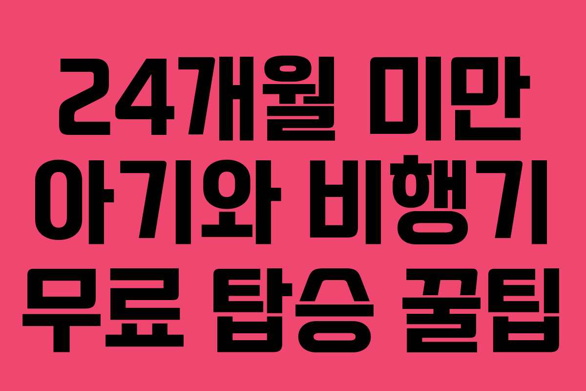 24개월 미만 아기와 비행기 무료 탑승 꿀팁 24개월 미만 아기와 비행기 무료 탑승 꿀팁