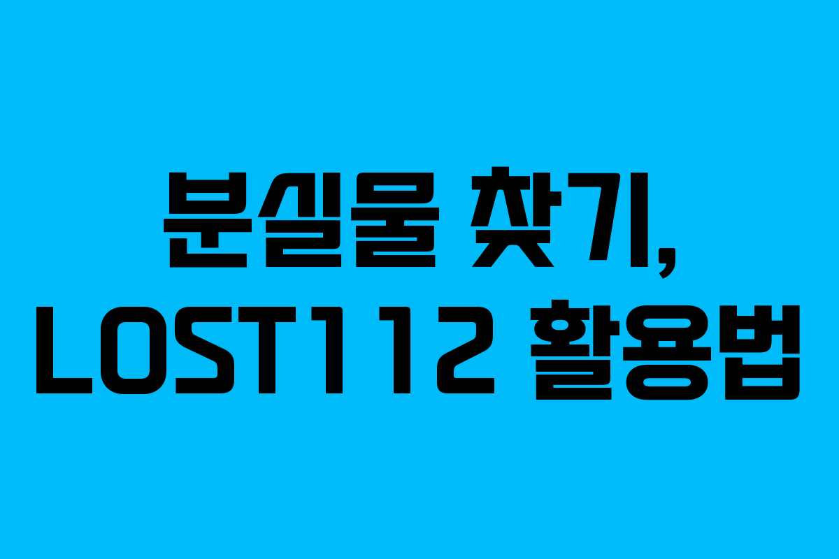 분실물 찾기, LOST112 활용법