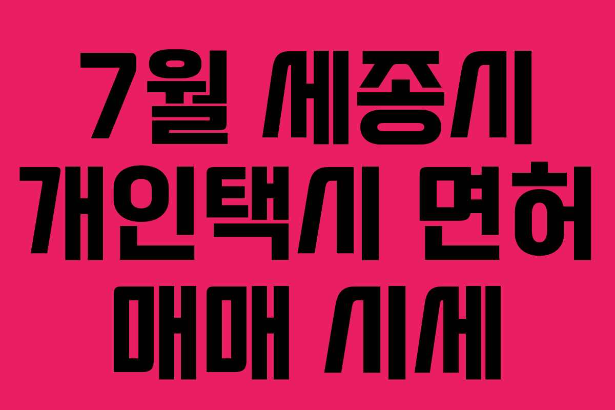 7월 세종시 개인택시 면허 매매 시세 7월 세종시 개인택시 면허 매매 시세