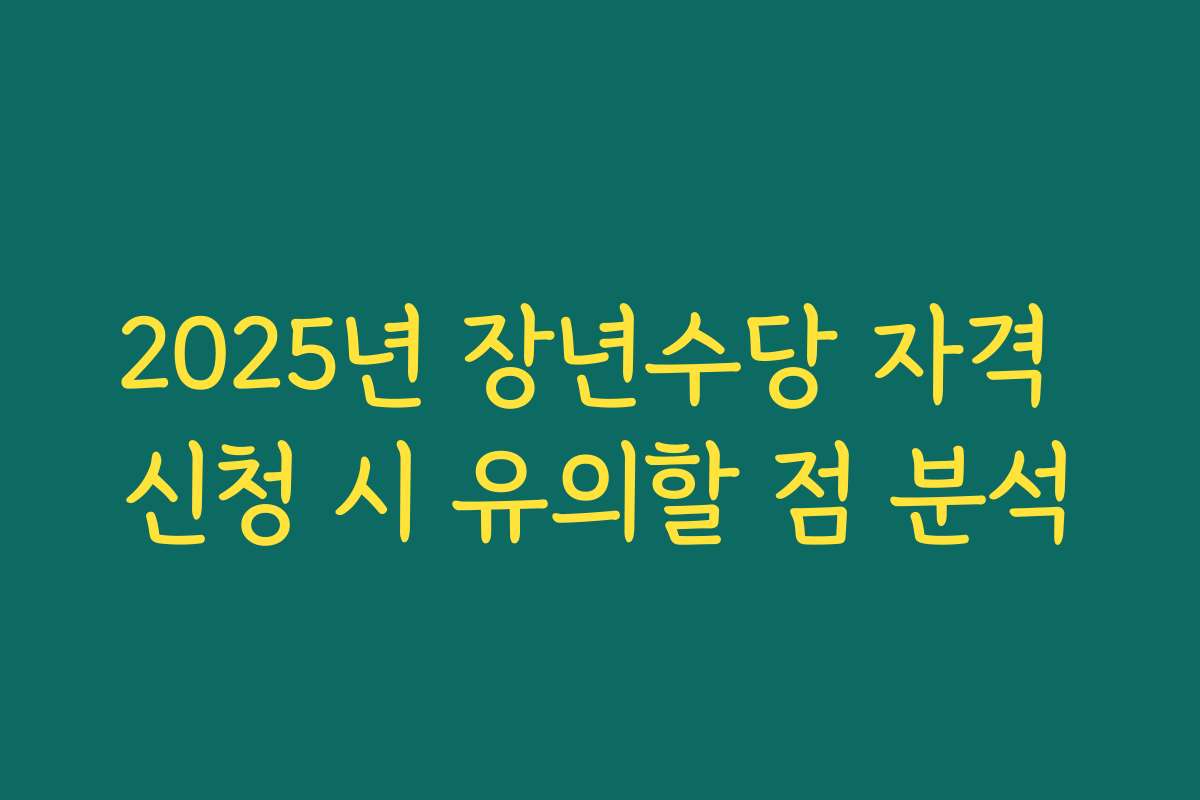 2025년 장년수당 자격 신청 시 유의할 점 분석