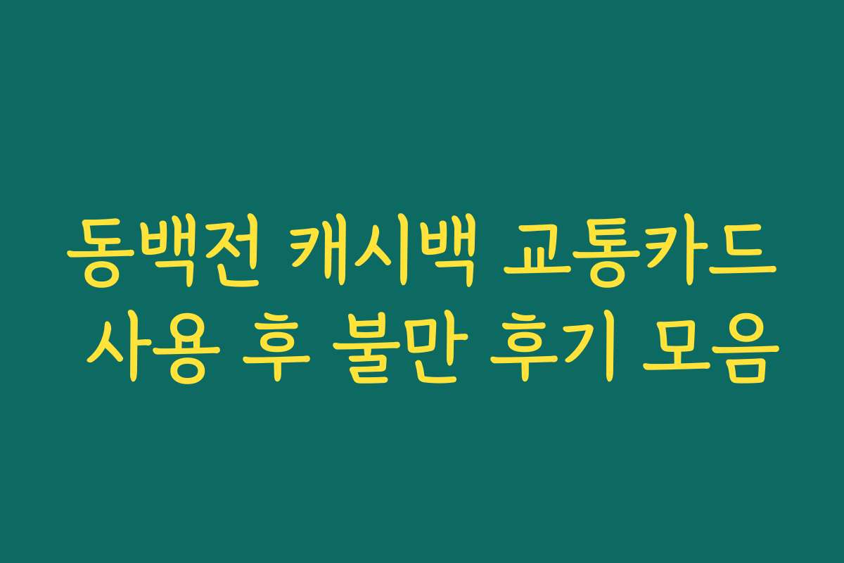 동백전 캐시백 교통카드 사용 후 불만 후기 모음 동백전 캐시백 교통카드 사용 후 불만 후기 모음