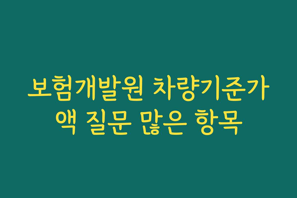 보험개발원 차량기준가액 질문 많은 항목