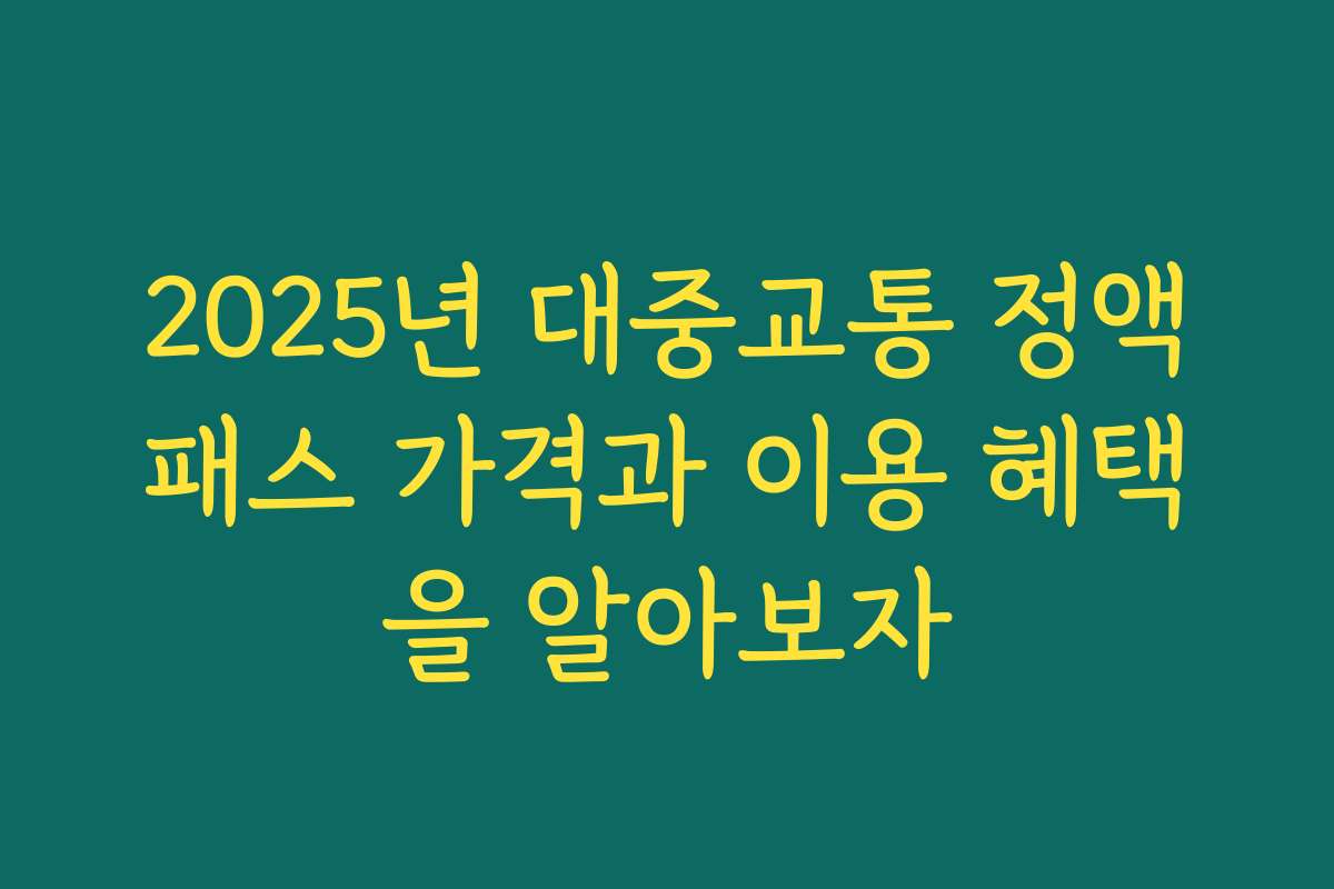2025년 대중교통 정액패스 가격과 이용 혜택을 알아보자