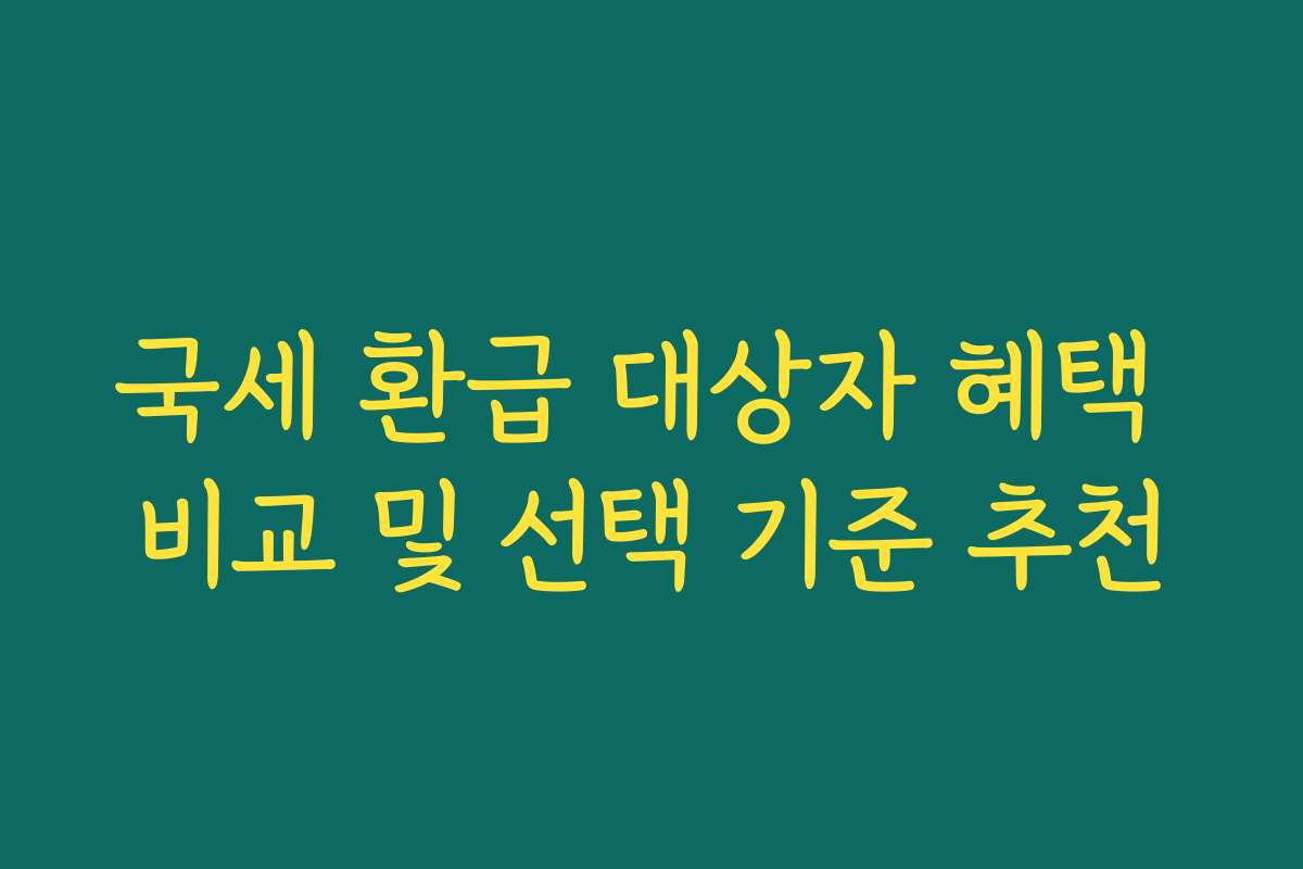 국세 환급 대상자 혜택 비교 및 선택 기준 추천
