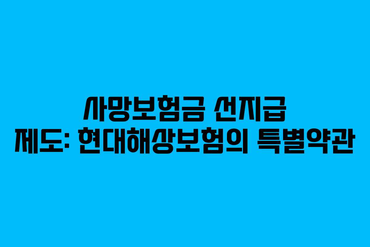 사망보험금 선지급 제도: 현대해상보험의 특별약관 사망보험금 선지급 제도: 현대해상보험의 특별약관