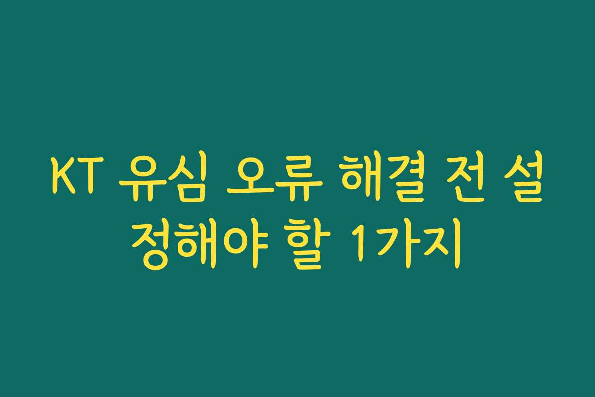 KT 유심 오류 해결 전 설정해야 할 1가지