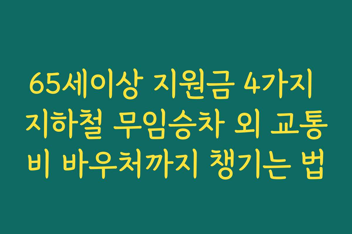 65세이상 지원금 4가지 지하철 무임승차 외 교통비 바우처까지 챙기는 법