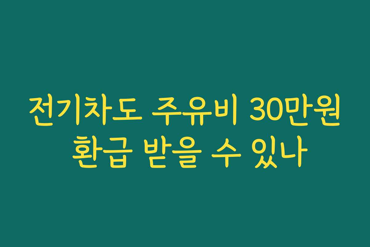 전기차도 주유비 30만원 환급 받을 수 있나